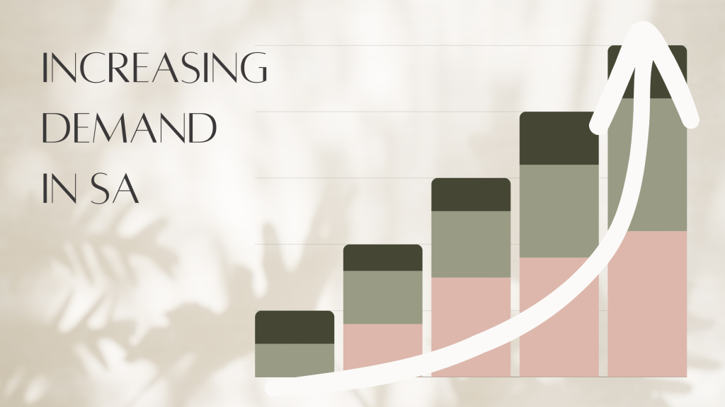 The Rise of Adult Item Sales in South Africa: Trends and Opportunities